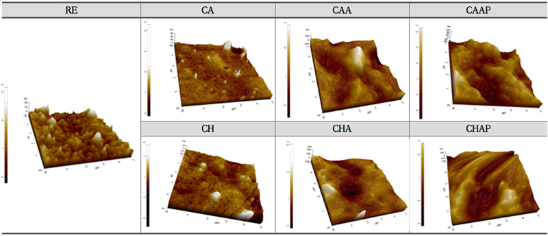 Fig. 10.